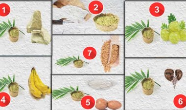 होममेड हेयर पैक (Homemade Hair Pack) हर तरह बालों के लिए हैं बेस्ट और आपके बाल चाहे ऑयली हों, ड्राई हों या नॉर्मल आप सभी के लिए ये होममेड हेयर पैक बहुत उपयोगी हैं