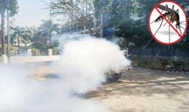 यूपी के दूसरे शहरों में भी फैल रहा डेंगू : सरकार की तरफ से छिड़काव अभियान चलाया जा रहा, स्वास्थ्य विभाग भी पूरी तरह से एक्शन में