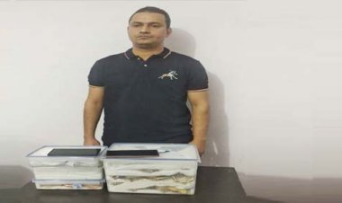 उत्तर प्रदेश : फर्जी IPS बनकर ज्वेलरी शॉप में करता था ठगी, यूपी STF ने आरोपी को गिरफ्तार कर 3 करोड़ किए बरामद