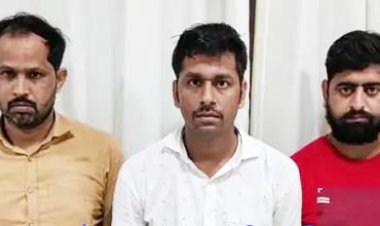 नौकरी से निकाला गया तो बन गया जालसाज:लखनऊ में वन विभाग में नौकरी का झांसा देकर करोड़ों की ठगी कर चुके तीन शातिर गिरफ्तार, यूपी एसटीएफ ने की कार्रवाई