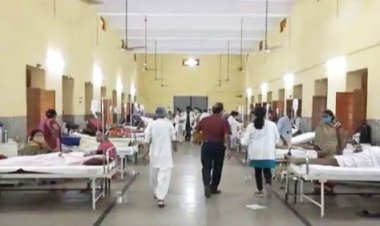 UP : फिरोजाबाद के बाद अब कानपुर में पैर पसार रहा डेंगू और वायरल बुखार, अस्पतालों में लगी लंबी-लंबी लाइनें