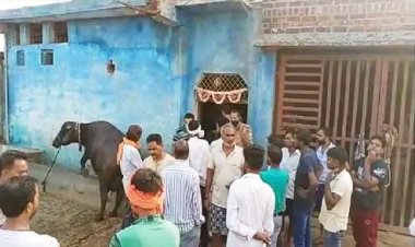 डबल मर्डर झांसी : दूध बेचकर जिंदगी का गुजर बसर करते थे बुर्जुग दम्पति, पुलिस ने दोनों शवों को पोस्टमार्टम के लिए भेजा