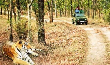 Uttarakhand Government : जिम कॉर्बेट टाइगर रिजर्व का नाम अब होगा रामगंगा नेशनल पार्क, केंद्रीय मंत्री अश्विनी चौबे ने दिए निर्देश