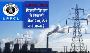 UPPCL Recruitment 2021: यूपी बिजली विभाग में सहायक लेखाकार के 240 पदों पर भर्ती, ऐसे करें आवेदन