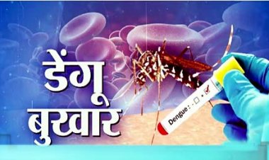 डेंगू-बुखार का प्रकोप : आगरा में भाभी-ननद की गई जान; फिरोजाबाद में 5 बच्चों और कासगंज में 7 की मौत
