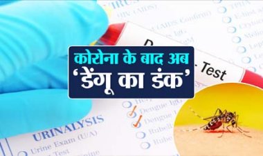 यूपी में जारी है डेंगू का कहर: लगातार बढ़ रहे है मामलें, बुधवार को यूपी में मिले 190 नए मरीज, प्रदेश में अब तक 11 हजार 690 से ज्यादा डेंगू संक्रमित केस