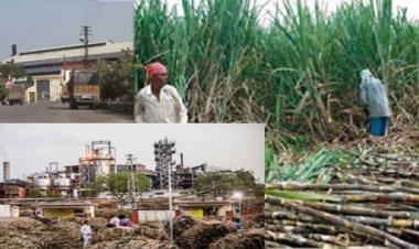 आयुक्त के तुगलकी फरमान से उड़ी किसानों की नींद : गन्ना किसानों को बर्बाद करने में जुटे गन्ना आयुक्त, पीएम-सीएम के अरमानो पर पानी फेर रहे नौकरशाह