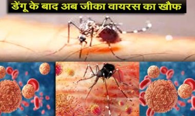 Zika Virus in Kanpur : कानपुर में आया जीका वायरस संक्रमण का एक मामला, हड़कंप मचने के बाद केंद्र ने फटाफट भेजी टीम