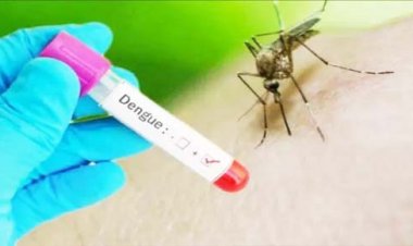 आगरा : एसएन मेडिकल कॉलेज में भर्ती 12 मरीजों में डेंगू की पुष्टि, सात बच्चों समेत 11 हुए डिस्चार्ज