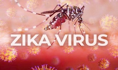 Zika Virus in UP: कानपुर में 16 और लखनऊ में 26 नए संक्रमित मिले, 2 गर्भवती महिलाएं भी शामिल; आज CM योगी का दौरा