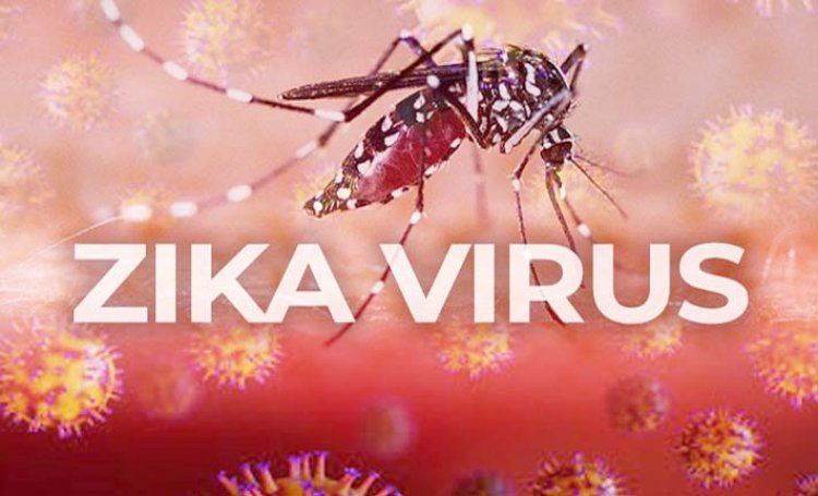 Zika Virus in UP: कानपुर में 16 और लखनऊ में 26 नए संक्रमित मिले, 2 गर्भवती महिलाएं भी शामिल; आज CM योगी का दौरा