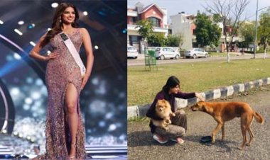 भारत में 21 साल बाद लौटा ताज : देश में जश्न का माहौल, 21 साल बाद भारत ने मिस यूनिवर्स का खिताब अपने नाम किया