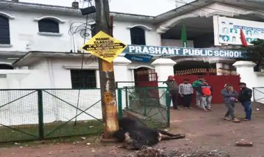 लखनऊ के  इस्माईलगंज द्वितीय वार्ड में स्कूल के सामने पोल में करंट उतरने से सांड की मौत, इलाके में डर का माहौल