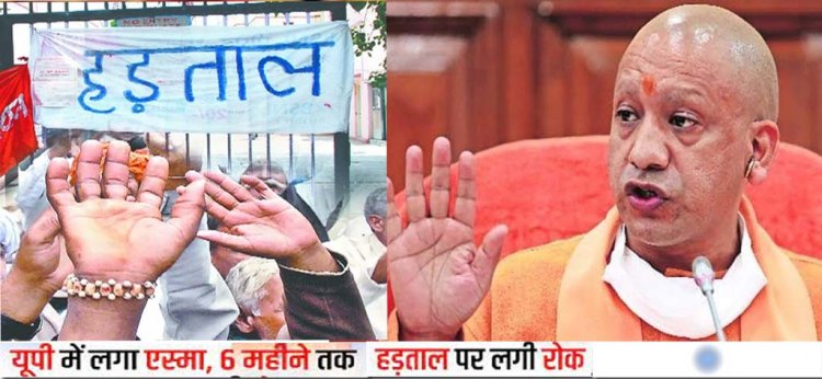 Government Employee Strike : अगले 6 महीने तक हड़ताल नहीं कर सकेंगे सरकारी कर्मचारी, योगी सरकार ने जारी किए ये सख्त निर्देश