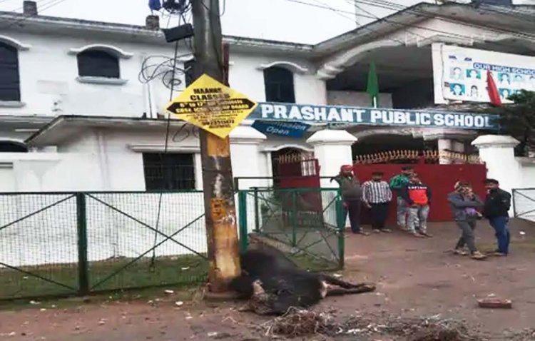 लखनऊ के  इस्माईलगंज द्वितीय वार्ड में स्कूल के सामने पोल में करंट उतरने से सांड की मौत, इलाके में डर का माहौल