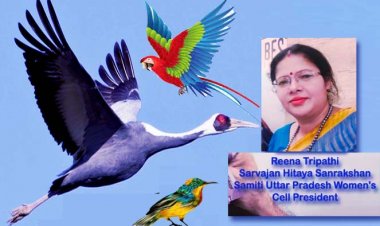 सहमी सांसों को टूटने से बचाएं