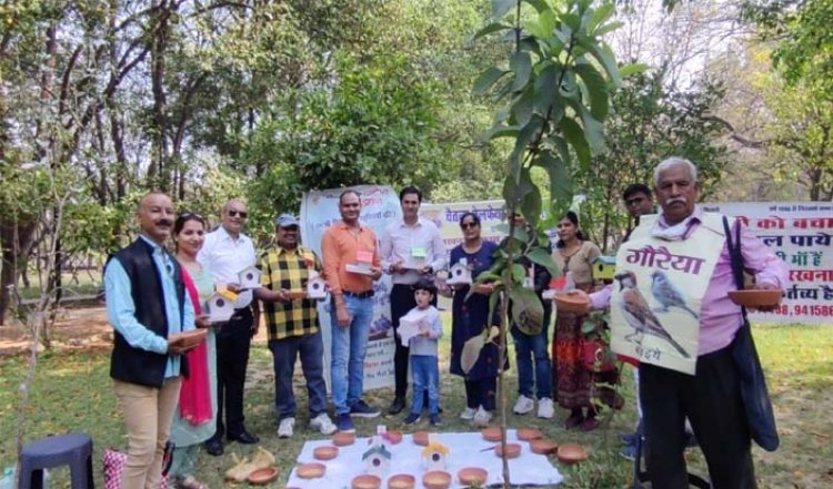 विश्व गौरैया दिवस- 2022 : आएगी आपके आंगन में भी नन्ही गौरैया…थोड़े से प्रयास से