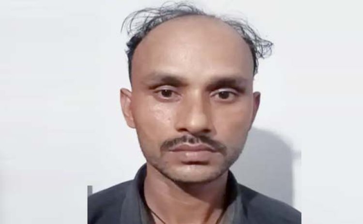 लखनऊ STF ने पकड़े 295 कछुए : तस्कर हांगकांग, चीन और मलेशिया लेकर जा रहे थे; 1 अरेस्ट