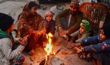 अब तक औसत के आधार पर 21 साल में सबसे ज्यादा ठंड इस बार, जनवरी के अंतिम सप्ताह में सर्दी का सितम चरम पर